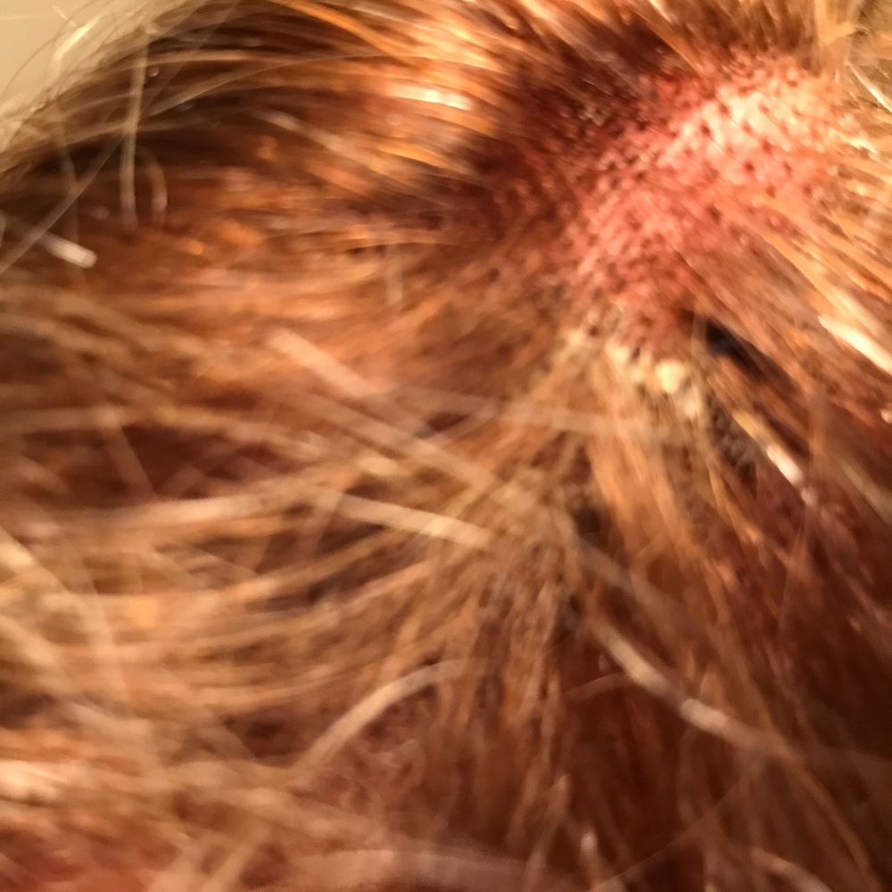 100% human hair inside cap wig pics1